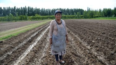 Emeliana es una migrante indocumentada, hablante del quechua. Foto Matías Subat.