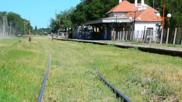 Regina se sube al tren de Vaca Muerta para exportar fruta