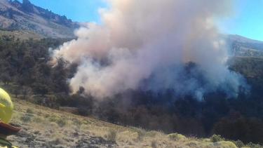 Un incendio forestal cerca de Pilcaniyeu afectó cien hectáreas