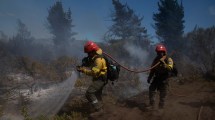 Imagen de Incendios en Chubut: el fuego no le da tregua a Los Alerces, ¿qué pasa con los focos cerca de Cholila y Puerto Patriada?
