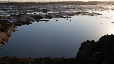 El tratamiento de residuos petroleros en Vaca Muerta está al límite