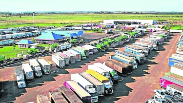 Carpocapsa: productores  de Brasil piden el cierre de la frontera