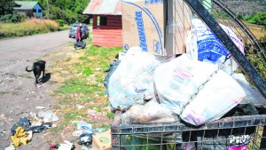 Stop judicial para acumular la basura en Alicurá