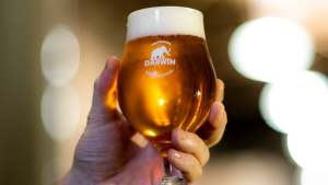 Eligieron en El Bolsón a la mejor cerveza IPA de Latinoamérica