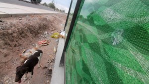 Con piedrazos rompieron paradores del Metrobús