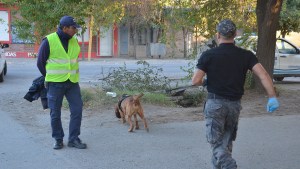 Formularon cargos contra el acusado de asesinar a una mujer de 78 años en Villa Regina