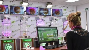 Río Negro tendrá Quiniela propia