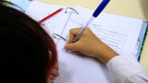 La inscripción 2021 a las escuelas en Neuquén será hasta diciembre