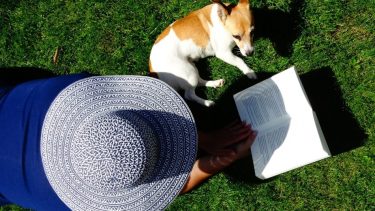 ¿Cómo sigue el calor? Te anticipamos el pronóstico