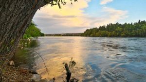 Encontraron un feto en el balneario de Regina