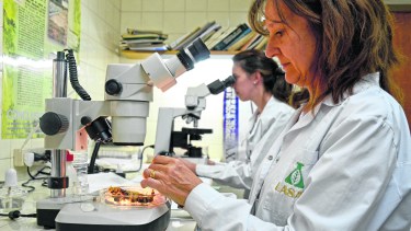 El equipo que custodia el estatus sanitario de la producción local