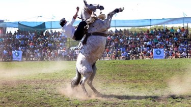 Exitoso balance de la XXIX edición de la Fiesta Nacional del Puestero