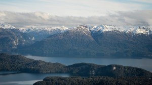 Monitorean la floración masiva de caña colihue en la cordillera