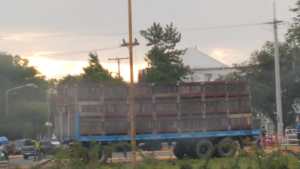 Un camión con manzanas volcó en Villa Regina y generó trastornos en el tránsito