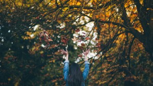 Pronóstico: te contamos cómo termina la semana