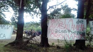 Denuncian venta de tierras públicas que reclama una comunidad mapuche