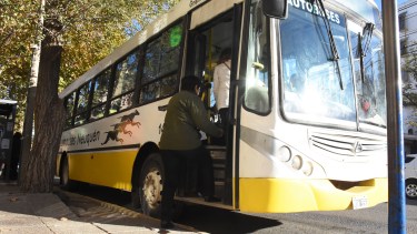 Choferes esperan que el municipio de Neuquén pague un bono para frenar el paro
