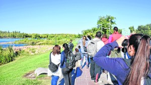 El mes en el que las aves visitan la región