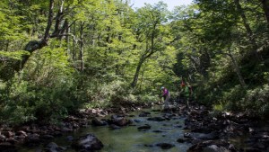 Trekking por el sendero de Neruda para huir de Chile a Neuquén