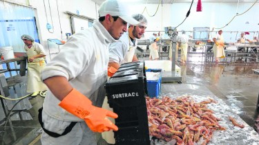 Piden que los trabajadores de la pesca se jubilen a los 55 años.
