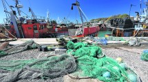 Imagen de Emergencia pesquera: Planean presentar una iniciativa para declararla en la Provincia