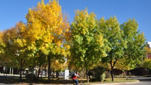 Pronóstico: se viene un jueves para disfrutar, antes de que bajen las temperatura