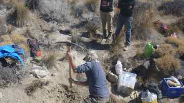 Encontraron fósiles de 16.000.000 de años en Comallo