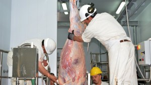 Finalmente activaron el matadero de Andacollo y esperan concentrar la faena
