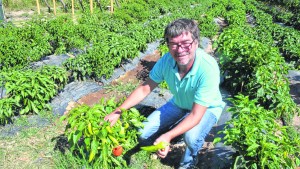 Un sello de origen con las ferias