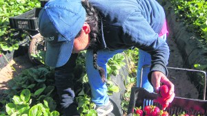 Obras y acciones a la altura del gran crecimiento