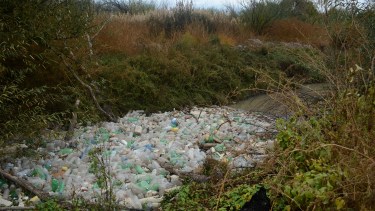 El desafío #TrashtagChallenge llegó a Roca