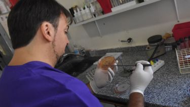 Las autoridades sanitarias mostraron preocupación y apuntaron a la falta de conciencia. Foto: Emiliana Cantera.-