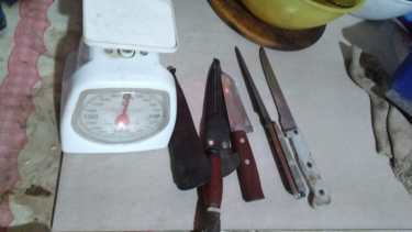 Allanaron 11 viviendas en Viedma por diversas causas de abigeato