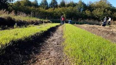 Te enseñarán a producir las semillas para la huerta
