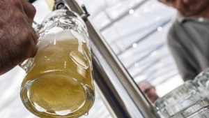 Los desafíos para los productores de cerveza artesanal