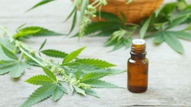 Una obra social deberá proveer aceite de cannabis a un niño de El Bolsón