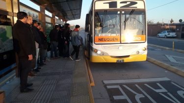 Colectivos gratis en Neuquén para ir a votar el domingo