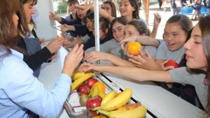 Así buscan en las escuelas prevenir la obesidad infantil