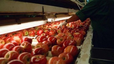 Qué exige Brasil para el ingreso de la fruta argentina