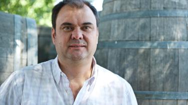 Vendimia 2019 y cómo la ven cuatro enólogos del Valle