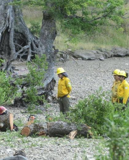 Dos niños murieron aplastados por un árbol en el camping de Lolen, en San Martín de los Andes. Foto: archivo
