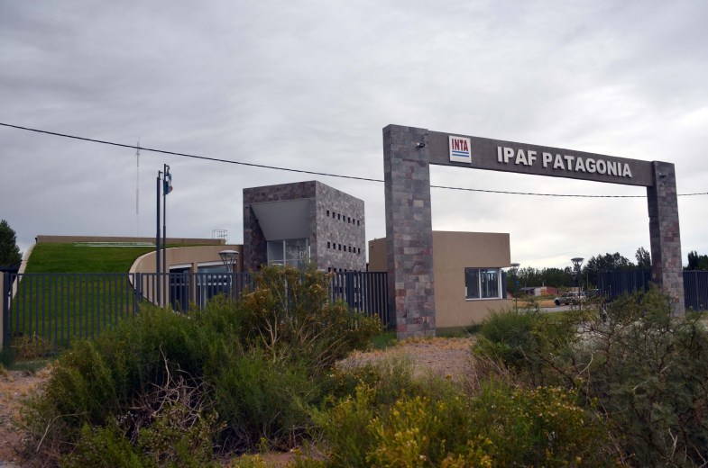 La sede del IPAF de Plottier.  Foto: Archivo Matías Subat