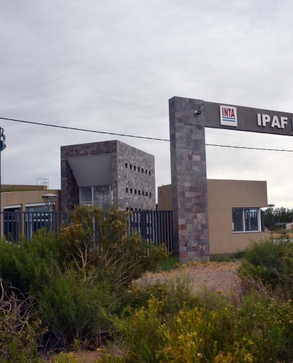 La sede del IPAF de Plottier.  Foto: Archivo Matías Subat