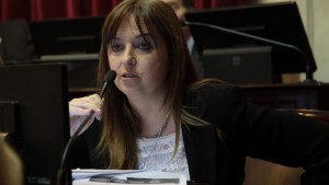 Odarda criticó a Dietrich por el freno en la Ruta 22 y el Tren del Valle, tras la inauguración del Metrobus