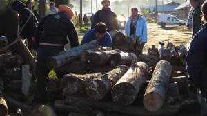 Quieren mejorar la calidad de la leña que se distribuye por el plan Calor en Bariloche