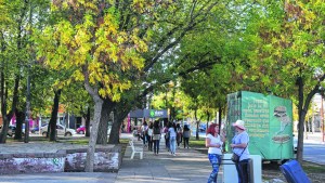 Aniversario de Plottier: obras y acciones para su crecimiento