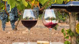 Los vinos argentinos tienen más poder antioxidante