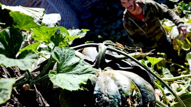 Julio Herrera muestra orgulloso el zapallo que cultivó en un árbol. (Foto: Mauro Pérez)