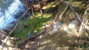 #TrashtagChallenge: Invitan a más roquenses a ser parte del desafío