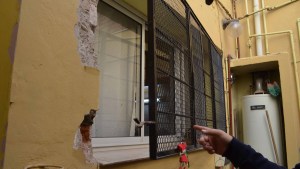 Violenta entradera a una reconocida vecina de Neuquén